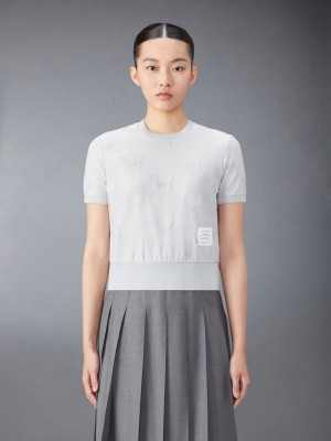 Thom Browne Terry Jacquard Hector Women T Shirts Grey | DKU14G96915